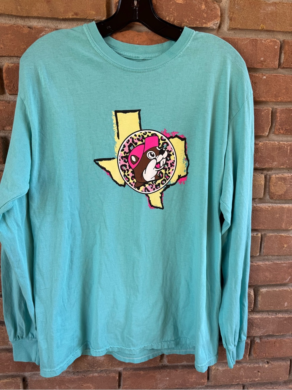 Women’s Long-Sleeve Teal Graphic Tee with Mascot and Texas Shape
